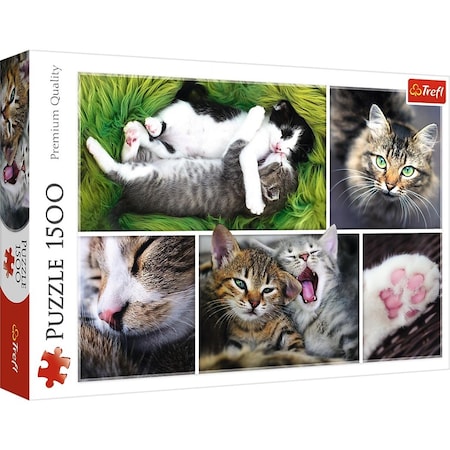 Trefl -26145 Just Cat Things Collage Jigsaw Puzzle - 1500 Piece Trefl-26145
